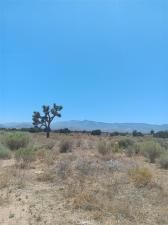 MLS #HD26005793 image #0