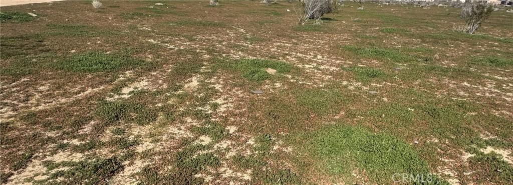 MLS #HD26011879 image #0