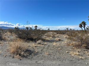 Silver Rock Road Lot 5 Pinon Hills CA 92372 | MLS #HD26051725 45 MLS #HD26051725 image #0
