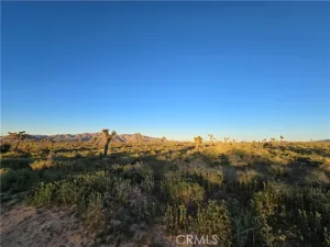 broker reciprocity