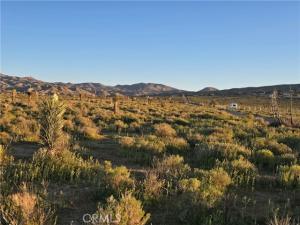 MLS #HD26064272 image #0