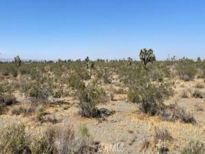 MLS #HD26069063 image #0