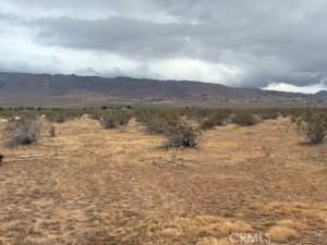 MLS #HD26079031 image #0