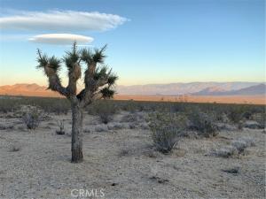 MLS #HD26092865 image #0