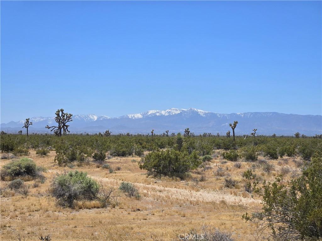 MLS #HD26094292 image #0