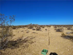 broker reciprocity