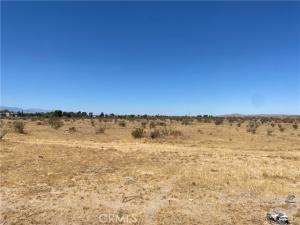 MLS #HD26158245 image #0