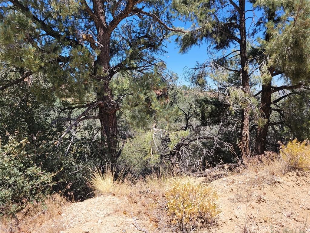 MLS #HD26165328 image #0