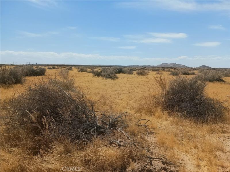 MLS #HD26185983 image #0