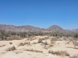 Holmes Road Lot 2 Lucerne Valley CA 92356 | MLS #HD26190174 41 MLS #HD26190174 image #0
