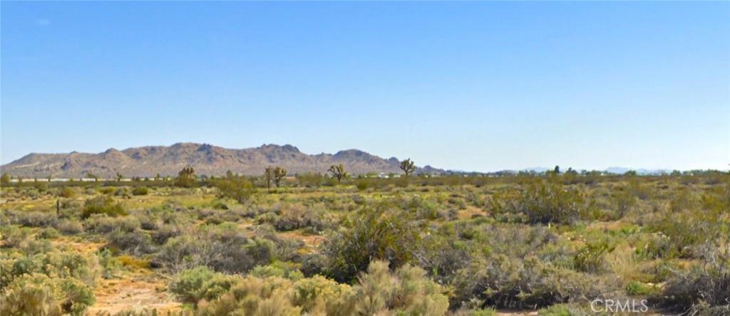 E Ave R 10 Lot 4 Sun Village CA 93543 | MLS #HD26207278 45 MLS #HD26207278 image #0