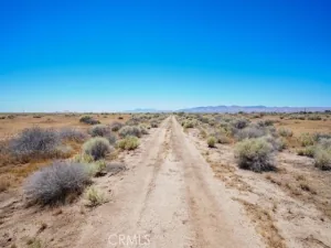 broker reciprocity