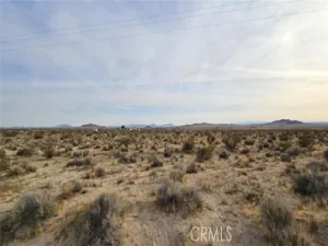 broker reciprocity