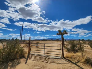 broker reciprocity