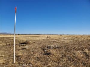 MLS #HD26214263 image #0