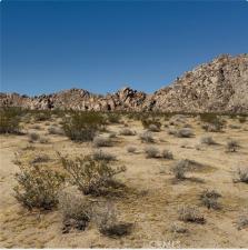 MLS #HD26219347 image #0