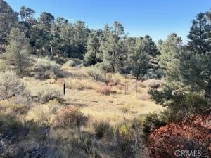 MLS #HD26220972 image #0