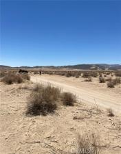 Reagan Road Joshua Tree CA 92252 | MLS #IG23177495 45 MLS #IG23177495 image #0