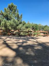 1563 Rock Ridge Drive Lake Arrowhead CA 92352 | MLS #IG24182925 45 MLS #IG24182925 image #0