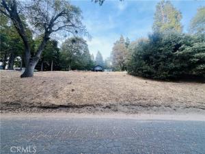Mojave River Road Lot 49 Cedarpines Park CA 92322 | MLS #IG24228222 45 MLS #IG24228222 image #0