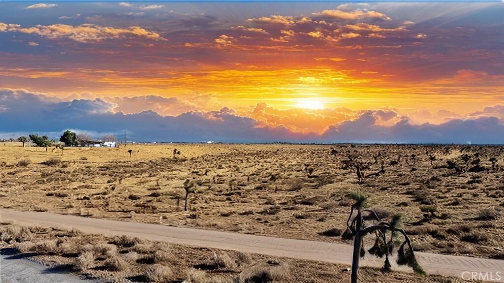 MLS #IG25034252 img 0