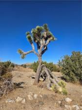 MLS #IG25037440 img 0