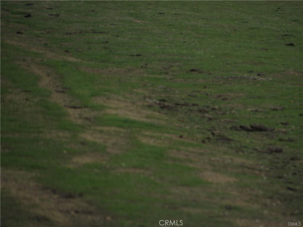 MLS #IG25038753 image #0