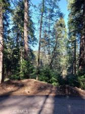 35 Spring Drive Cedarpines Park CA 92322 | MLS #IG25042767 45 MLS #IG25042767 image #0