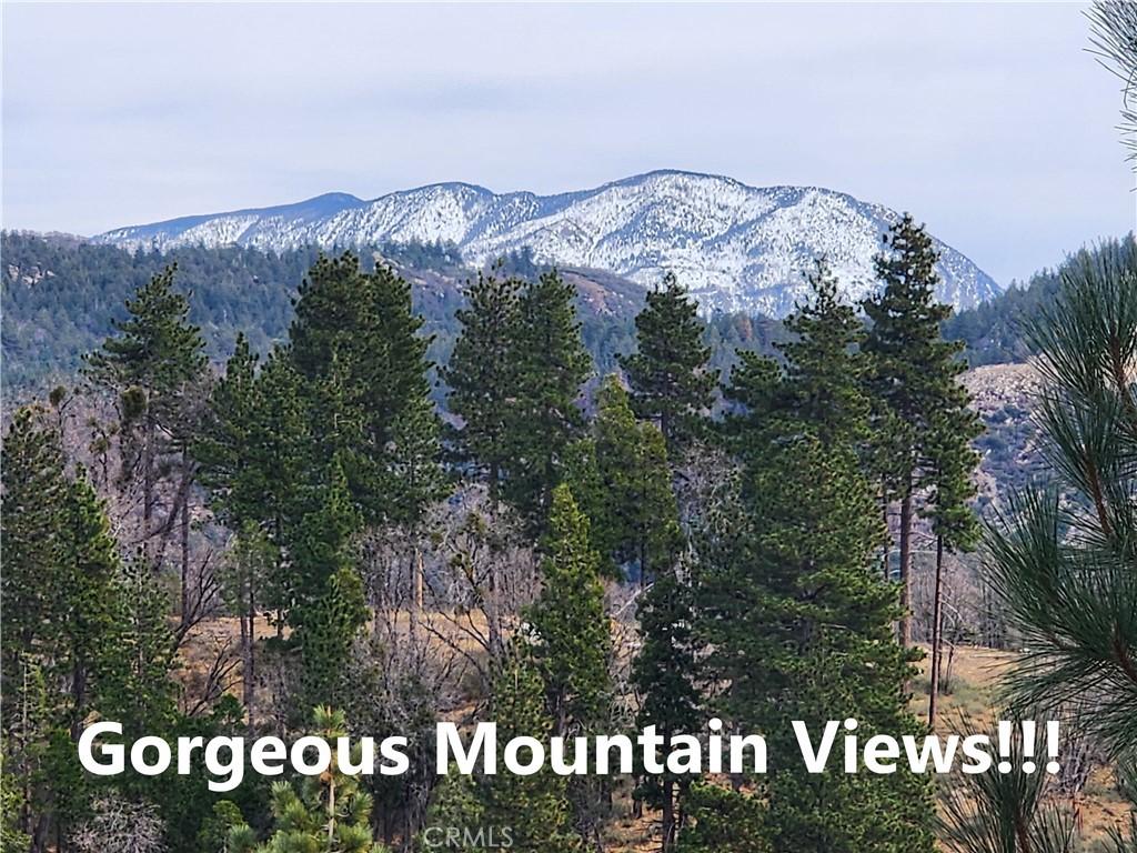 MLS #IG25045374 image #0