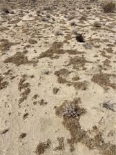 MLS #IG25070000 image #0