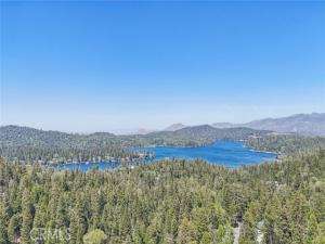 551 Raccoon Court Lake Arrowhead CA 92352 | MLS #IG25114482 45 MLS #IG25114482 image #0