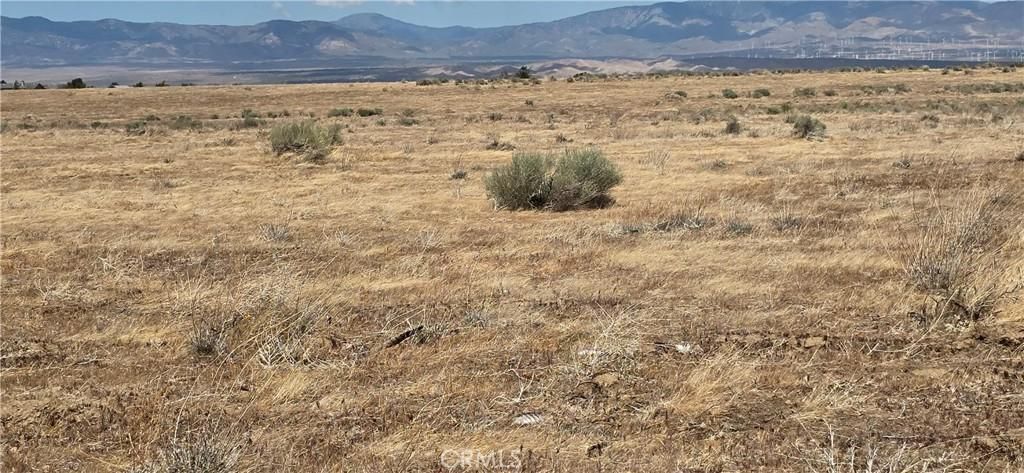 MLS #IG25117077 image #0