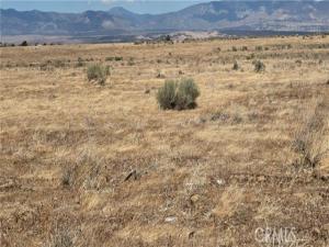 W Avenue F Lot 26 Lancaster CA 93536 | MLS #IG25117077 45 MLS #IG25117077 image #0