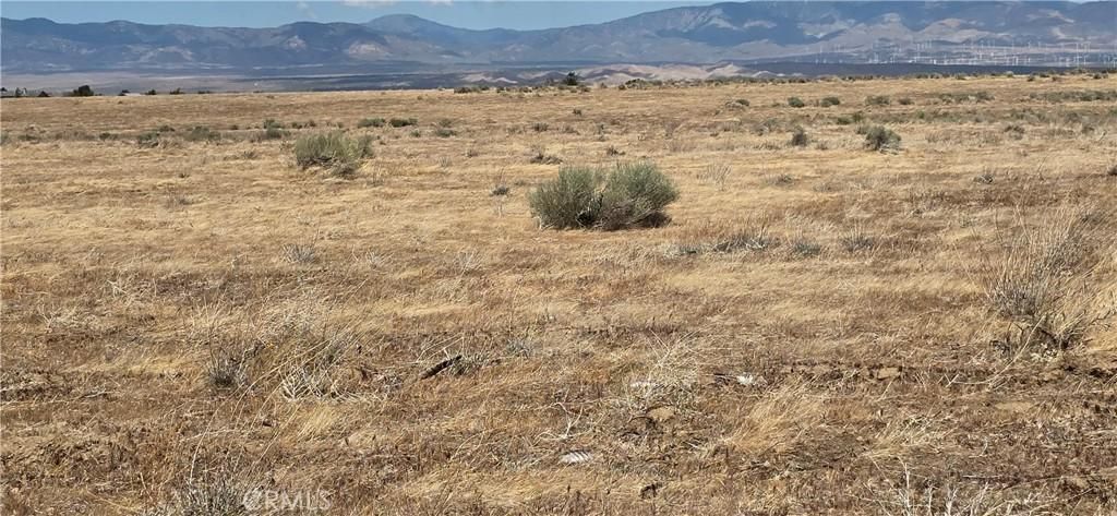 MLS #IG25117077 image #0