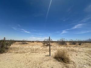 167 E Avenue T Palmdale CA 93591 | MLS #IG25132460 45 MLS #IG25132460 image #0