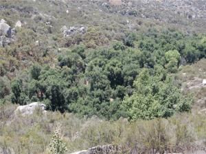 MLS #IG25132605 image #0