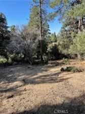 MLS #IG25138918 image #0