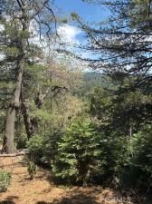 MLS #IG25141751 image #0