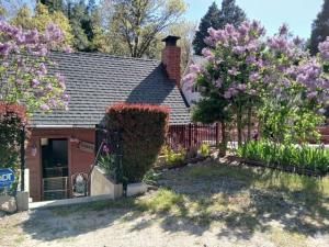 MLS #IG25142768 image #0