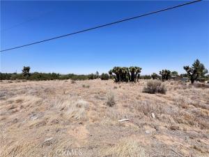 Sunnyslope Road Phelan CA 92371 | MLS #IG25144859 45 MLS #IG25144859 image #0