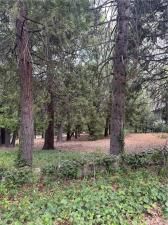 MLS #IG25149585 image #0