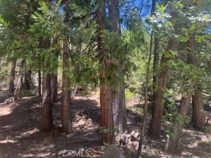 MLS #IG25150860 img 0