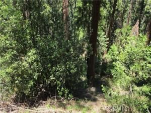 MLS #IG25151749 image #0