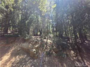 Mojave River Road Lot 116 Cedarpines Park CA 92322 | MLS #IG25151788 45 MLS #IG25151788 image #0