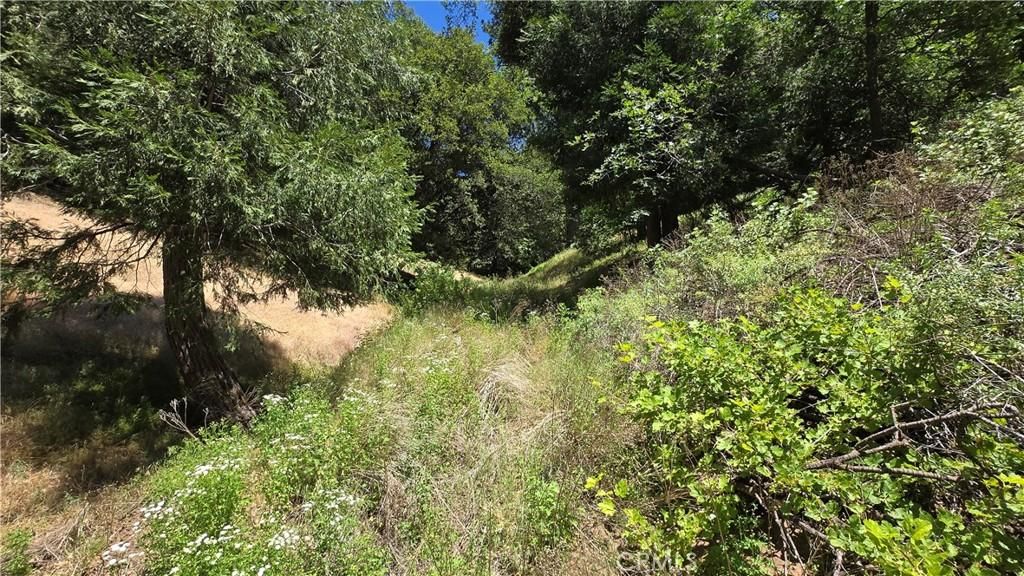 MLS #IG25152965 image #0