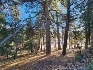 MLS #IG25154338 image #0