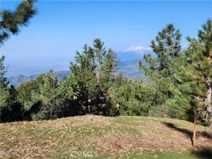 MLS #IG25154354 image #0