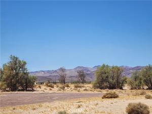 31312 Fort Cady Road Newberry Springs CA 92365 | MLS #IG25156573 17 MLS #IG25156573 image #0