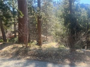 MLS #IG25161466 image #0