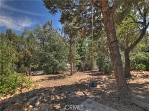 MLS #IG25167820 image #0